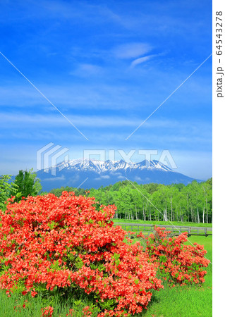 レンゲツツジ咲く開田高原と御嶽山 レンゲツツジ咲く開田高原と御嶽山 64543278