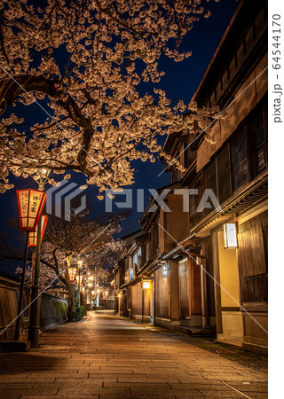 金沢・主計町茶屋街の夜桜 金沢・主計町茶屋街の夜桜 64544170