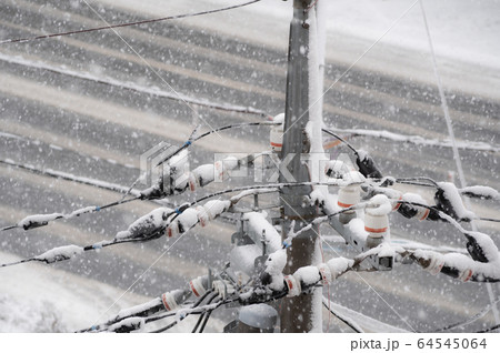 送電線の雪 平野部の降雪 c-1 送電線の雪 平野部の降雪 c-1 64545064
