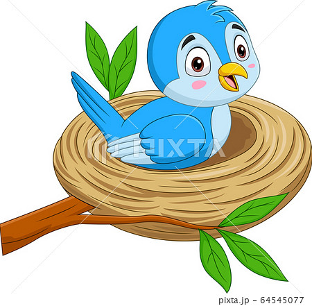 Cartoon blue bird sitting in a nest Cartoon blue bird sitting in a nest 64545077