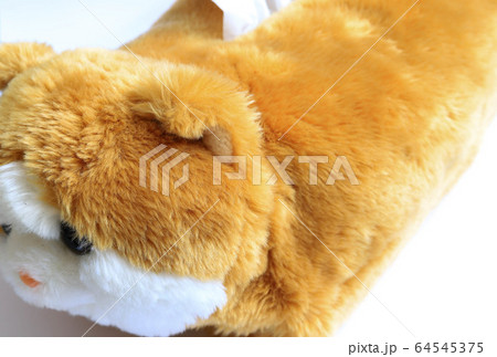 ぬいぐるみ 64545375