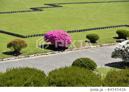 松本城　庭園 64545426