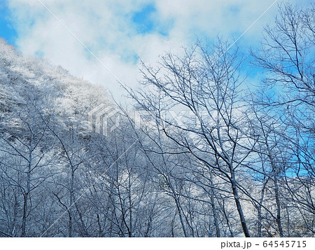 美しい雪景色