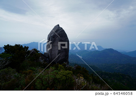 屋久島　ヤクスギランド　太忠岳 64546058