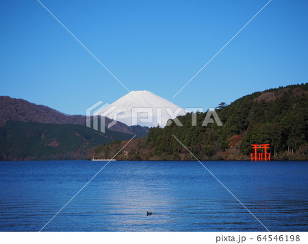 芦ノ湖からの真っ白な富士山 芦ノ湖からの真っ白な富士山 64546198