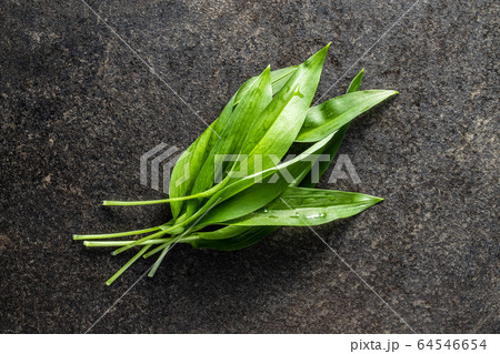 Green wild garlic leaves. Ramsons leaves on black 64546654