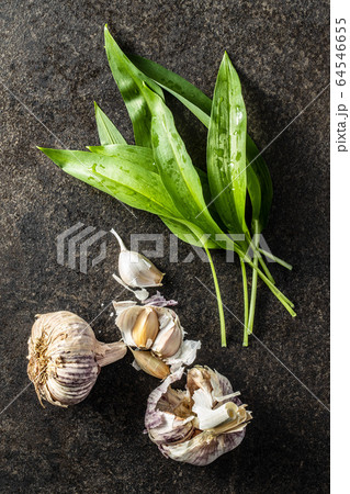 Green wild garlic leaves. Ramsons leaves on black 64546655