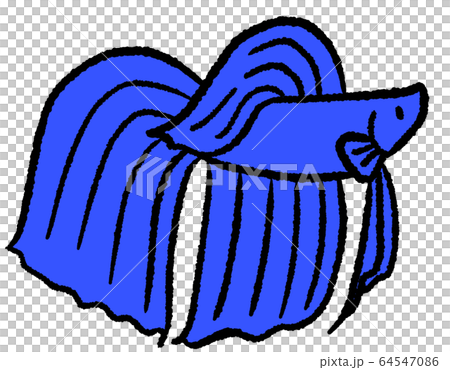 Solid solid (blue) 64547086