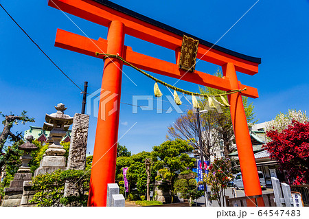 東京都八王子市 二つの神社が合体した八幡八雲神社 東京都八王子市 二つの神社が合体した八幡八雲神社 64547483