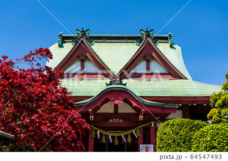 東京都八王子市　二つの神社が合体した八幡八雲神社　 64547493