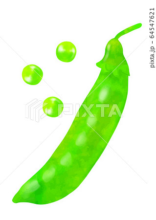 サヤエンドウ 64547621