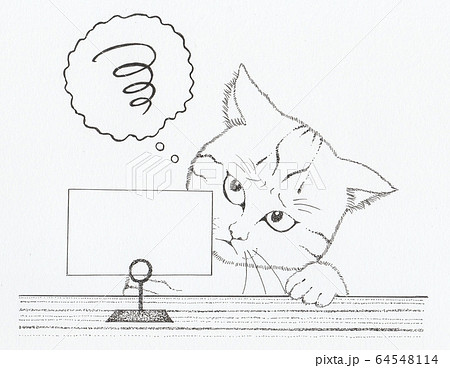 店頭で悩むネコ 64548114