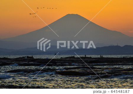 富士山と鳥の群れ【江の島稚児が淵】相模湾 64548187