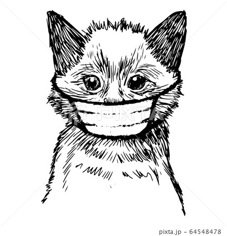 illustration of cat with mask hand drawn illustration of cat with mask hand drawn 64548478