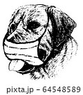 illustration of Labrador Retriever dog with mask 64548589