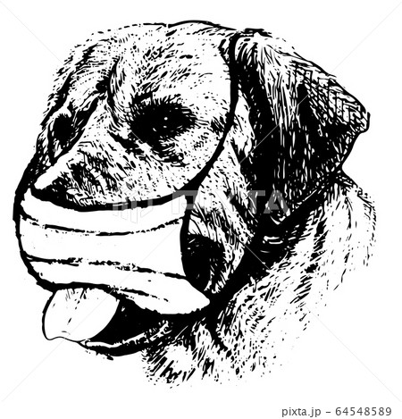 illustration of Labrador Retriever dog with mask 64548589