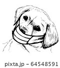 illustration of Labrador Retriever dog with mask 64548591