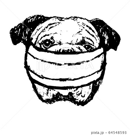 illustration of Bulldog with mask illustration of Bulldog with mask 64548593