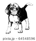 illustration of Beagle dog with mask 64548596