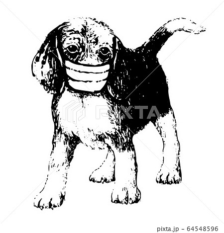 illustration of Beagle dog with mask illustration of Beagle dog with mask 64548596