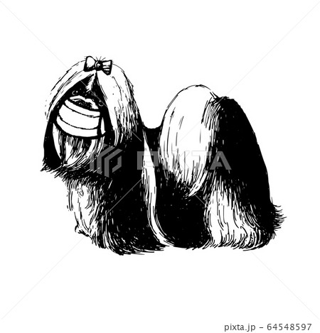 illustration of Shih Tzu dog with mask illustration of Shih Tzu dog with mask 64548597