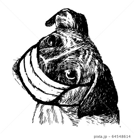 illustration of Boxer dog with mask illustration of Boxer dog with mask 64548614