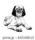 illustration of English setter dog with mask 64548615
