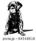 illustration of Labrador Retriever dog with mask 64548616