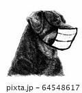 illustration of Rottweiler dog with mask 64548617
