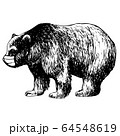 hand drawn illustration of bear with mask 64548619