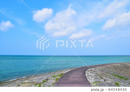 豊崎総合公園 64549430