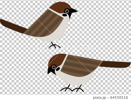 鳥 Bird すずめのイラスト素材