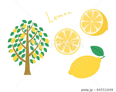 レモン　セット 64551049