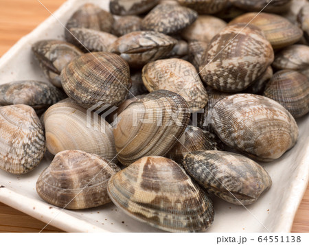 生のアサリ 64551138