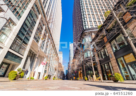東京の高層ビル群 東京の高層ビル群 64551260