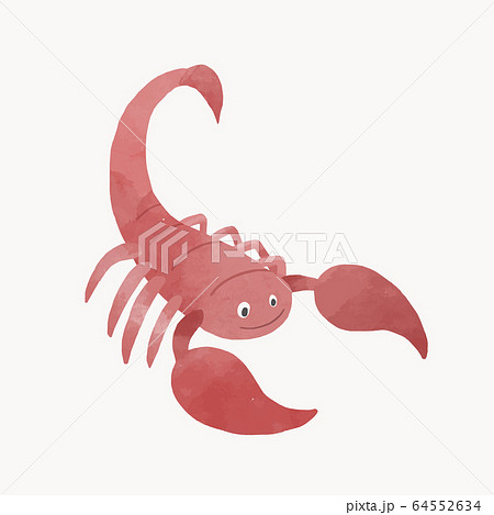 Beautiful vector Scorpio horoscope zodiac sign. Stock illustration. 64552634