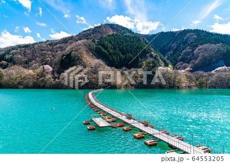 奥多摩湖麦山の浮橋 64553205