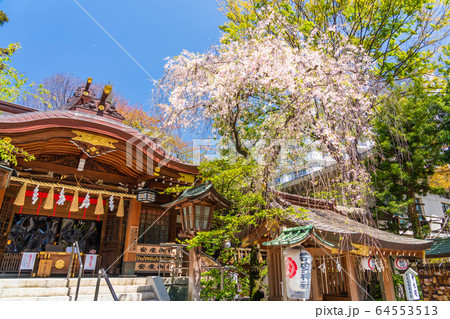 春 新緑の神社 春 新緑の神社 64553513