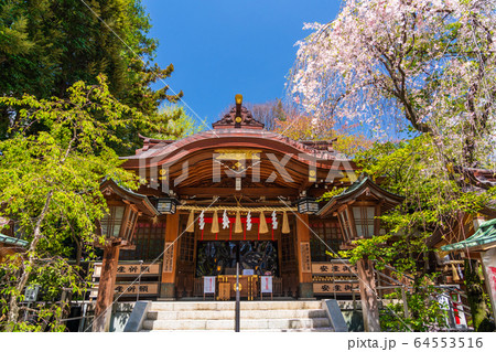 春 新緑の神社 春 新緑の神社 64553516
