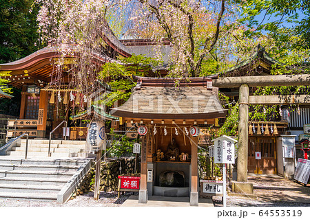 春 新緑の神社 春 新緑の神社 64553519