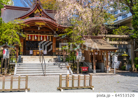 春 新緑の神社 春 新緑の神社 64553520