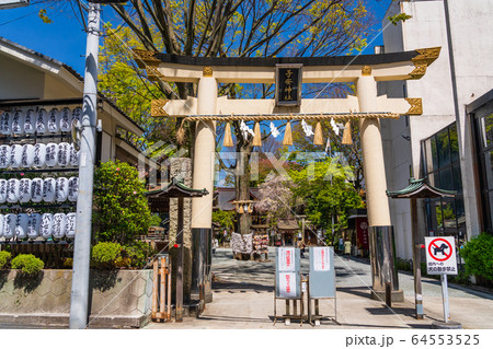 春 新緑の神社 春 新緑の神社 64553525
