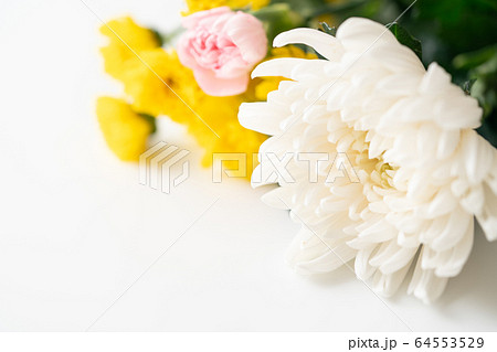 仏花 仏花 64553529