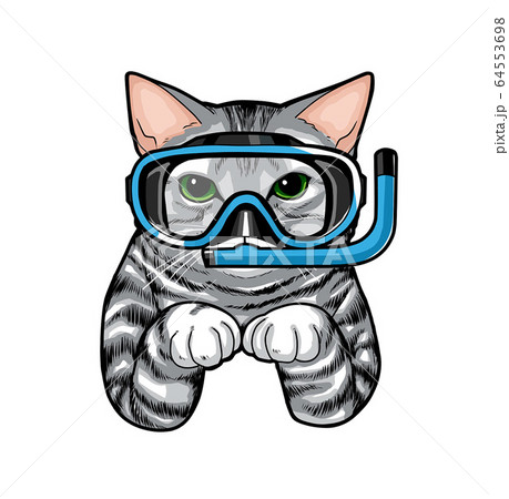 猫 シュノーケル アメリカンショートヘアのイラスト素材