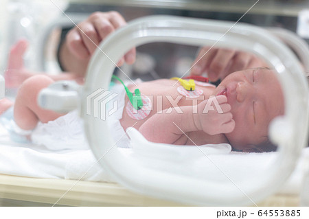 保育器で頑張る新生児 新生児 保育器 保育器で頑張る新生児 新生児 保育器 64553885