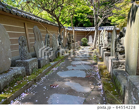 日本のお寺（円覚寺） / Japanese Temple 64554228