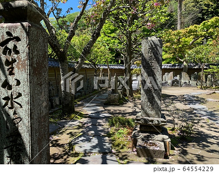 日本のお寺(円覚寺) / Japanese Temple 日本のお寺(円覚寺) / Japanese Temple 64554229