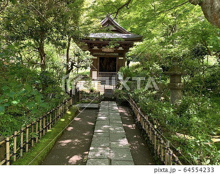 日本のお寺（円覚寺） / Japanese Temple 64554233