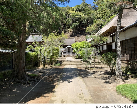 日本のお寺（円覚寺） / Japanese Temple 64554237