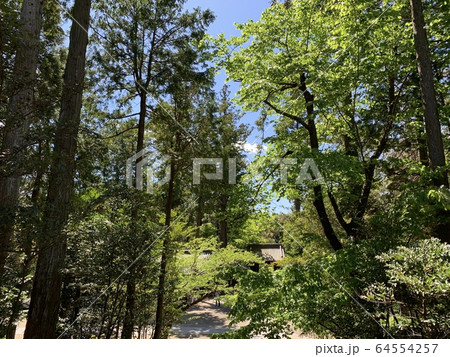 日本のお寺（円覚寺） / Japanese Temple 64554257
